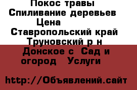 Покос травы - Спиливание деревьев › Цена ­ 2 000 - Ставропольский край, Труновский р-н, Донское с. Сад и огород » Услуги   